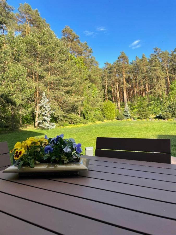 Apartament Przy Lesie Chojno-Blota Wielkie Exterior foto